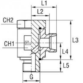 Переходник Banjo JE DKOS М52х2 DS38 BSP 1.1/2" (корпус) (101323.1)