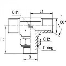 Тройник с контргайкой 4TOL-1.1/2 FRGT BSP 1.1/2" BSP 1.1/2"